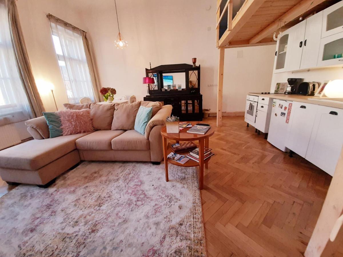 Central Loft Apartment Brassó Kültér fotó
