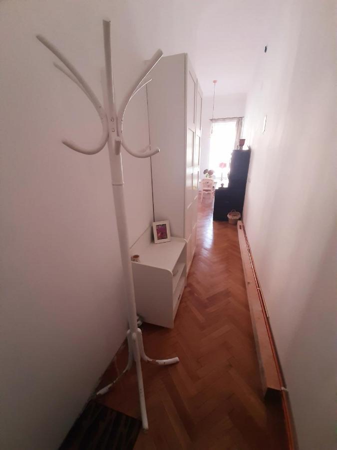 Central Loft Apartment Brassó Kültér fotó